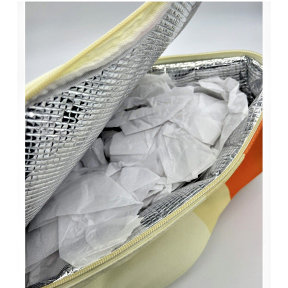 Disney World Parks Monorail Lunch Box Tote Bag Cool Bag Chill Insulated BNWT - Picture 11 of 14